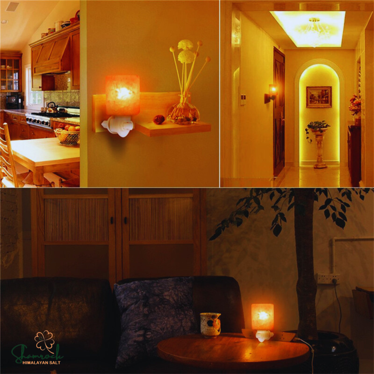 Himalayan Night Lamps