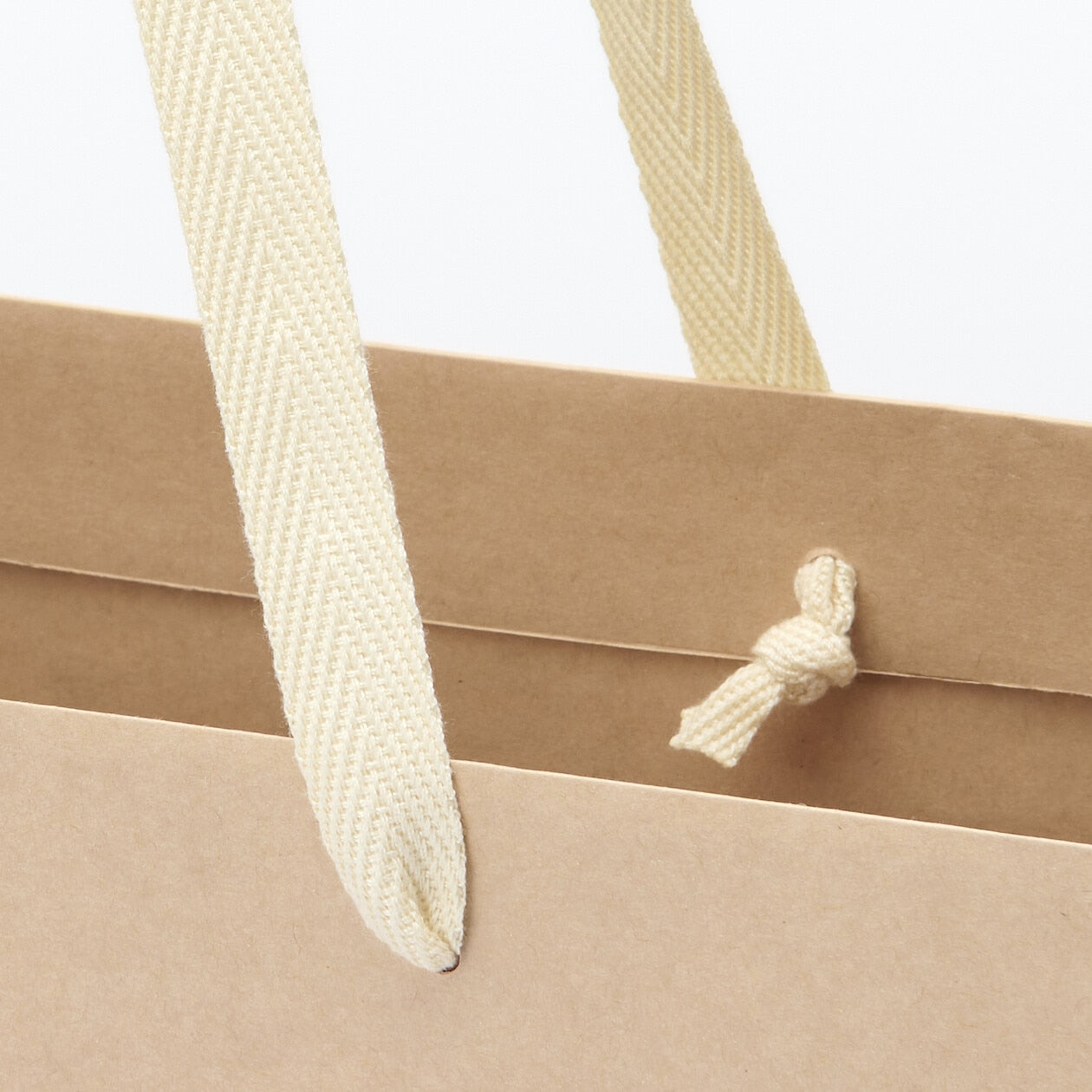 Kraft Paper Bag L
