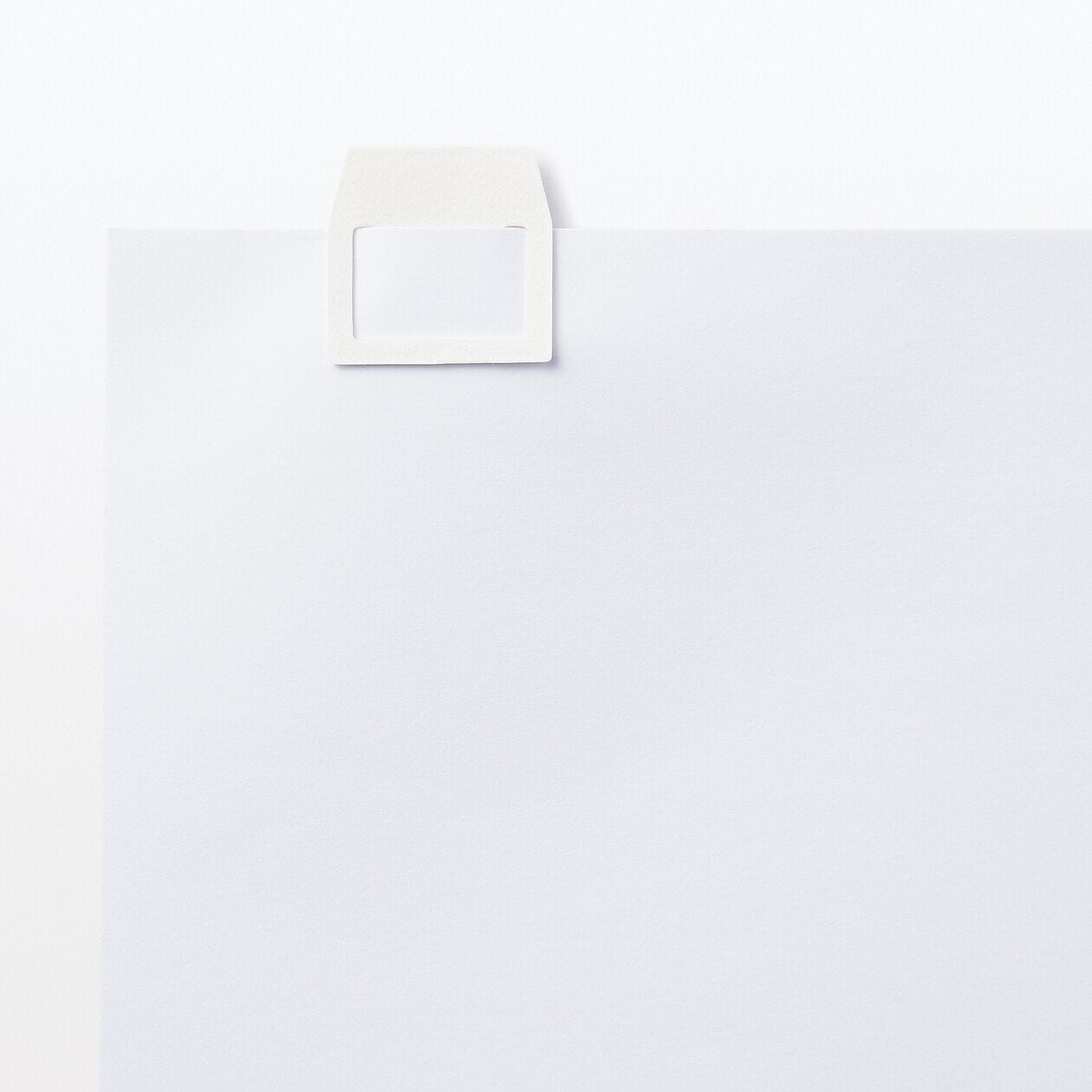 Pulp Paper Clip