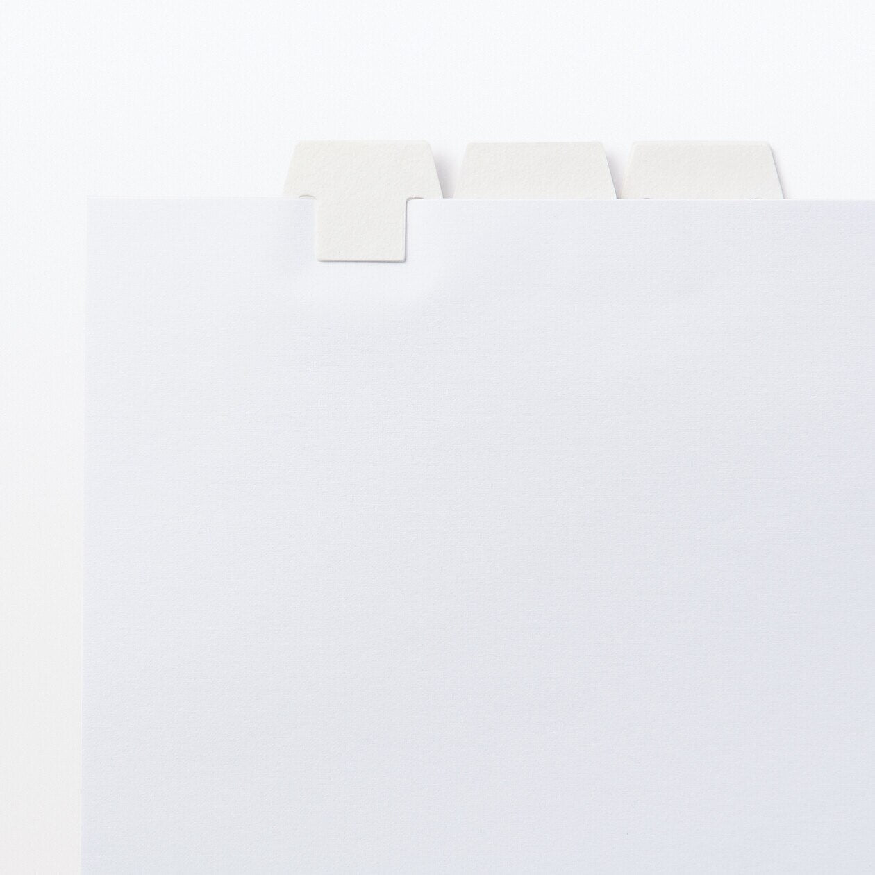 Pulp Paper Clip