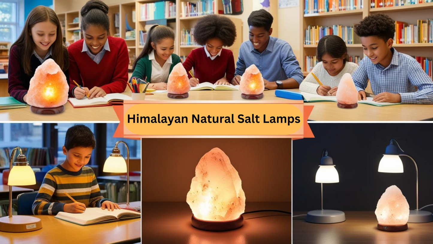 Himalayan Natural Pink Salt Lamps