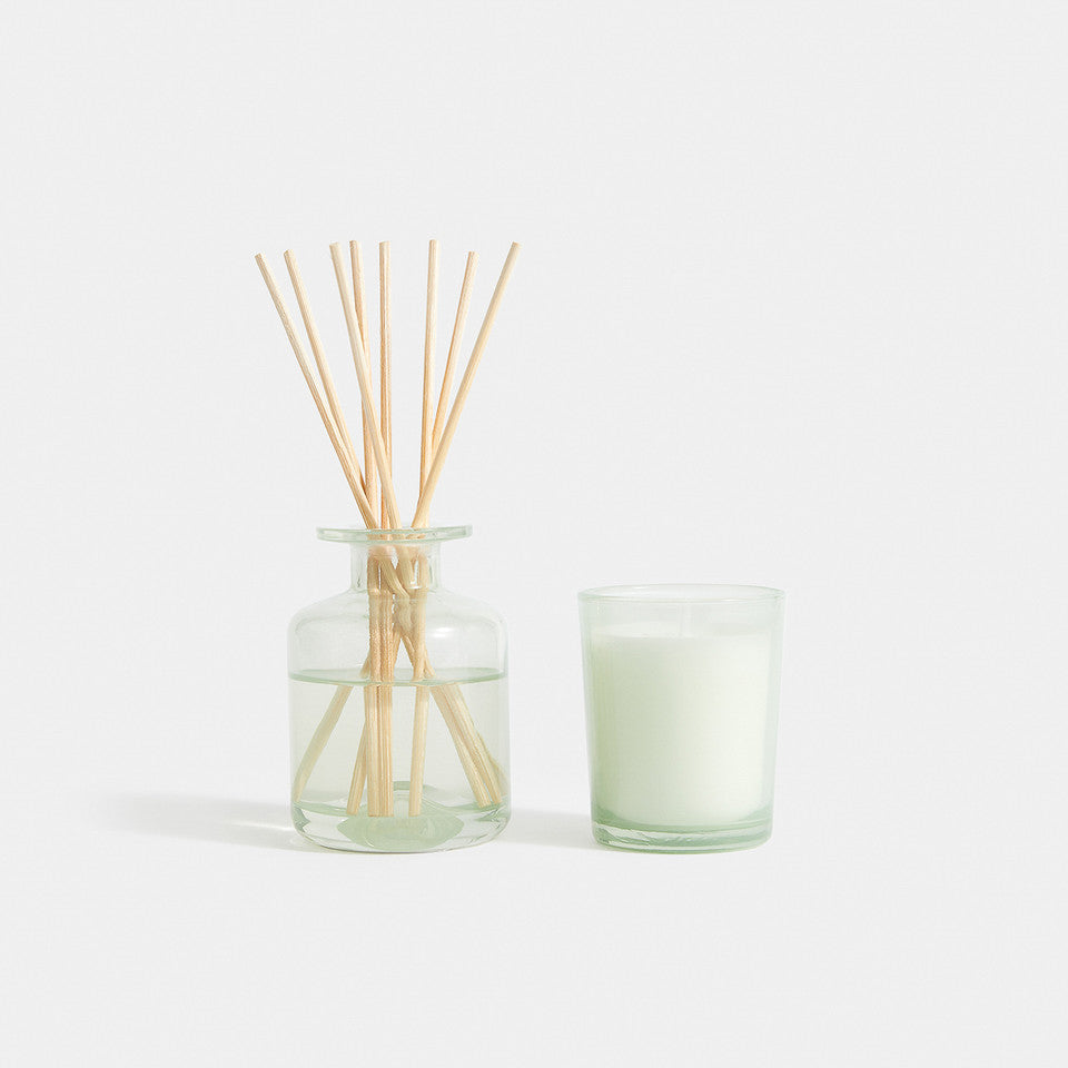 Coastal Moss Home Fragrance Gift Set