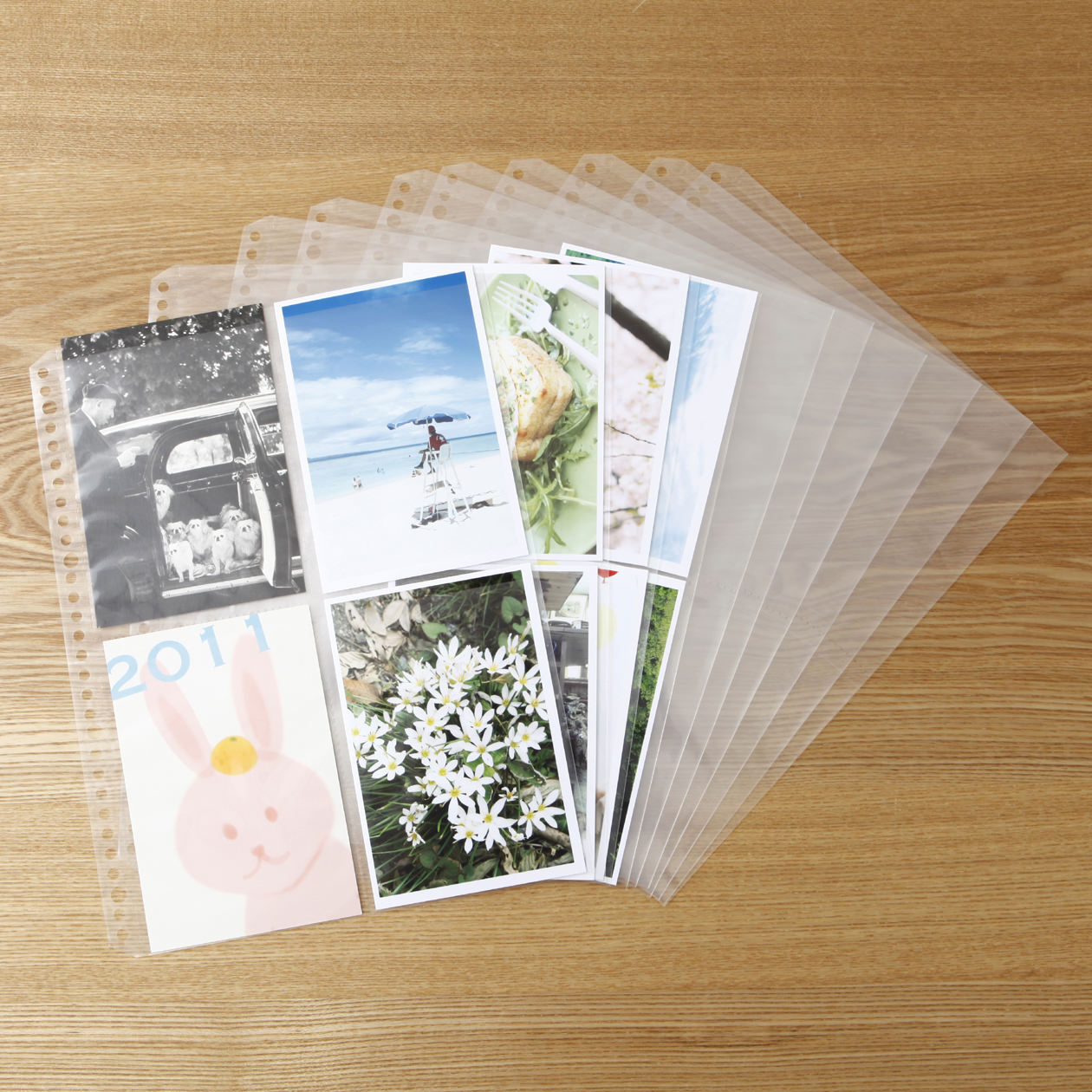 POLYPROPYLENE REFILL POSTCARD