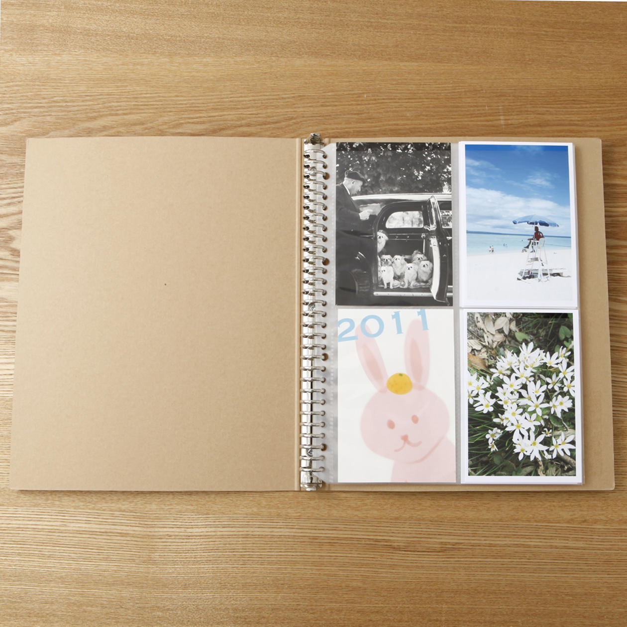 POLYPROPYLENE REFILL POSTCARD